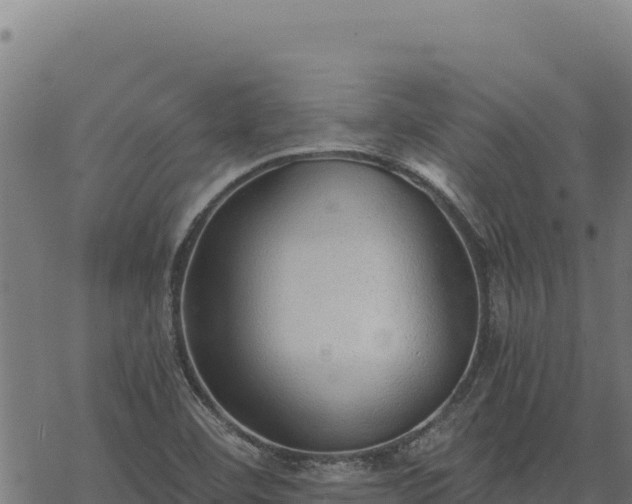 X0000068831460200605121329