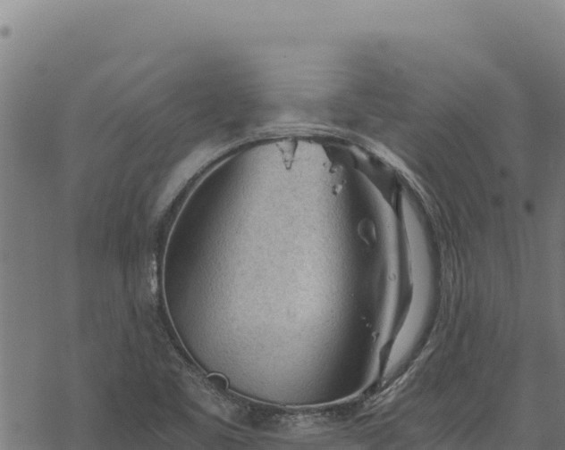 X0000068831461200605121329