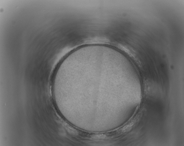 X0000068831462200605121329