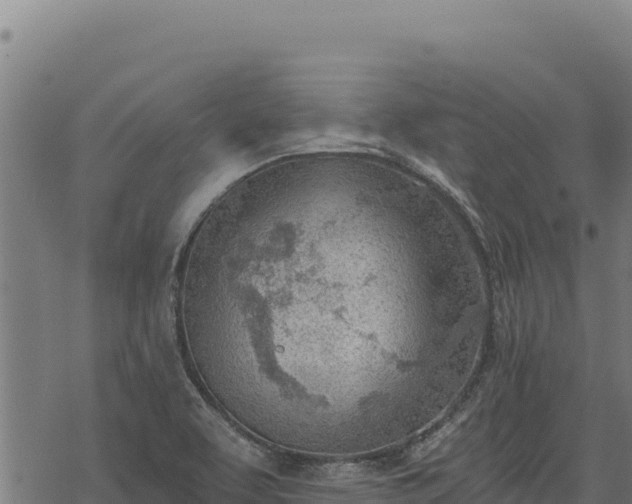 X0000068831463200605121329