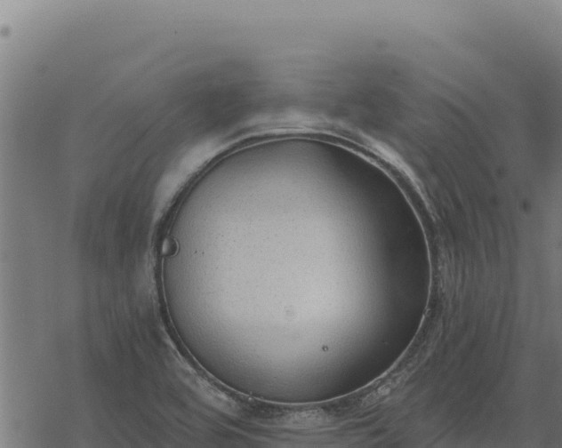 X0000068831464200605121329