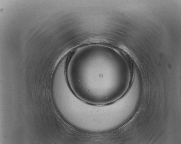 X0000068831465200605121329