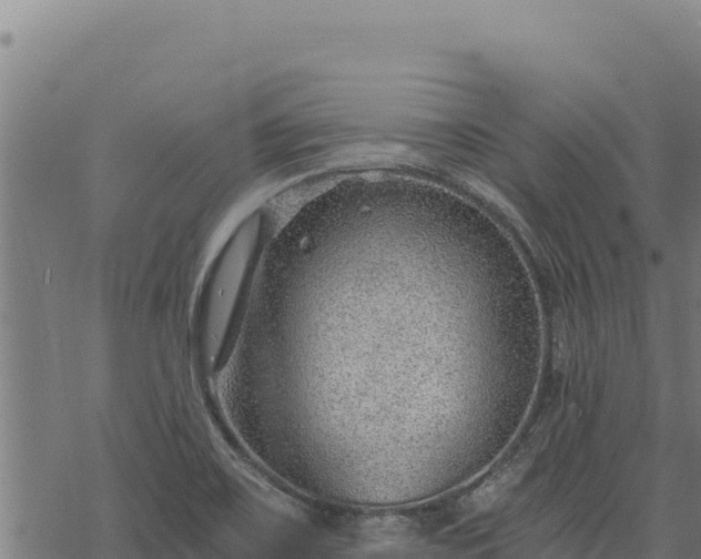 X0000068831467200605121329