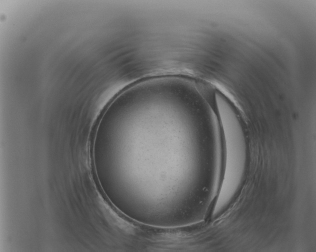 X0000068831468200605121329