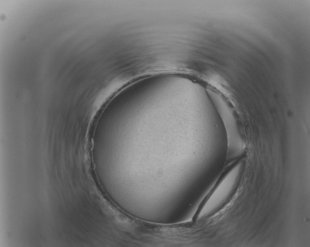 X0000068831469200605121329