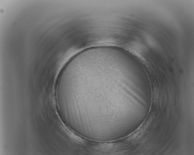 X0000068831470200605121329