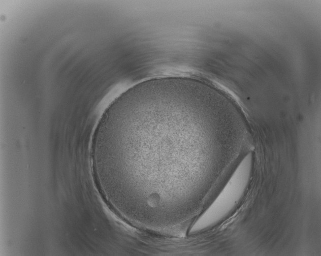 X0000068831471200605121329