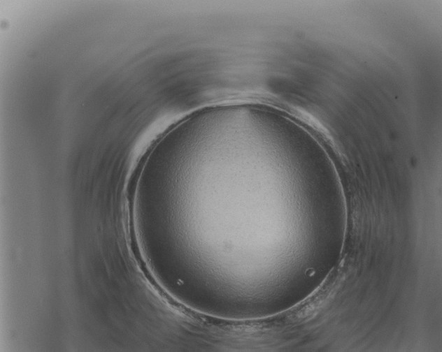 X0000068831472200605121329