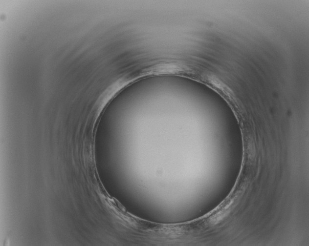 X0000068831473200605121329