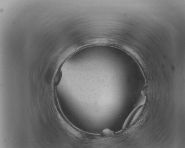 X0000068831475200605121329