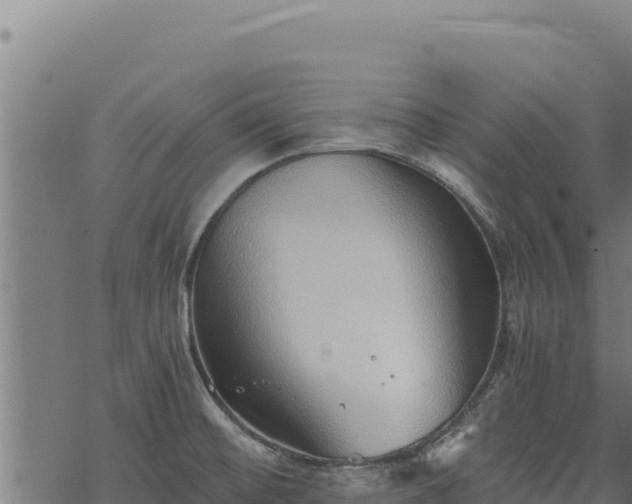 X0000068831476200605121328