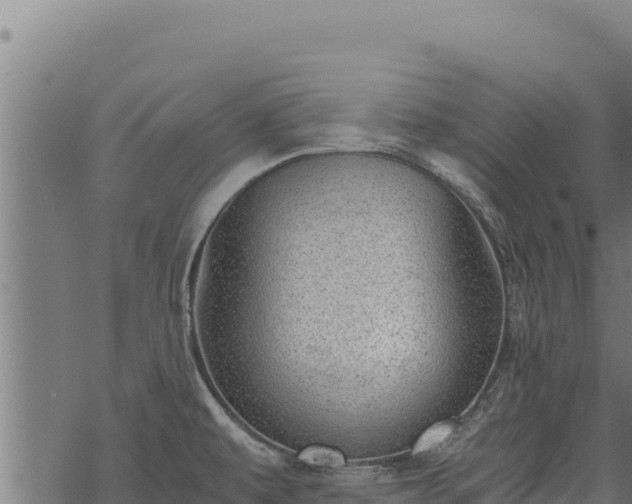 X0000068831479200605121328