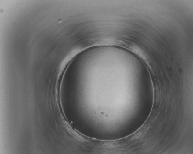 X0000068831480200605121328