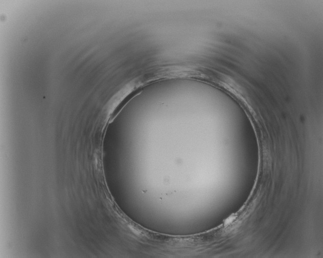 X0000068831481200605121328