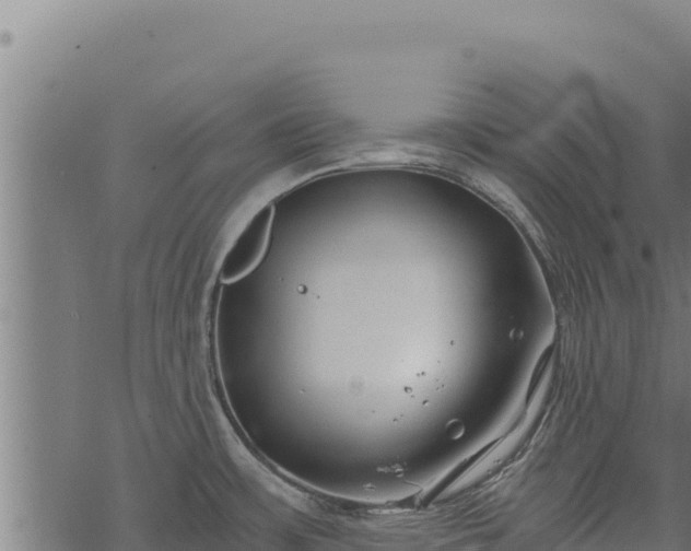 X0000068831483200605121328