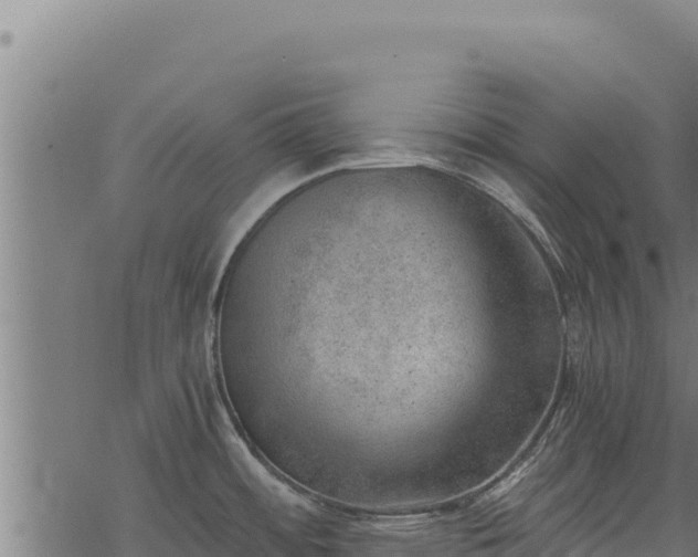 X0000068831484200605121328