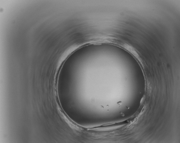 X0000068831485200605121328