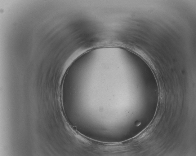 X0000068831486200605121328