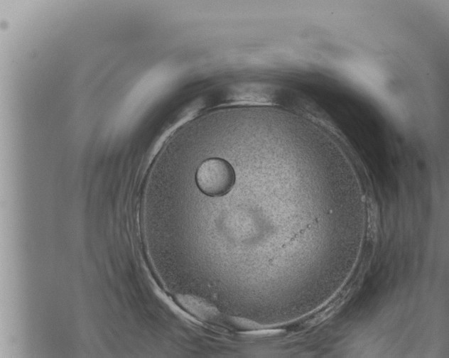 X0000068831487200605121328