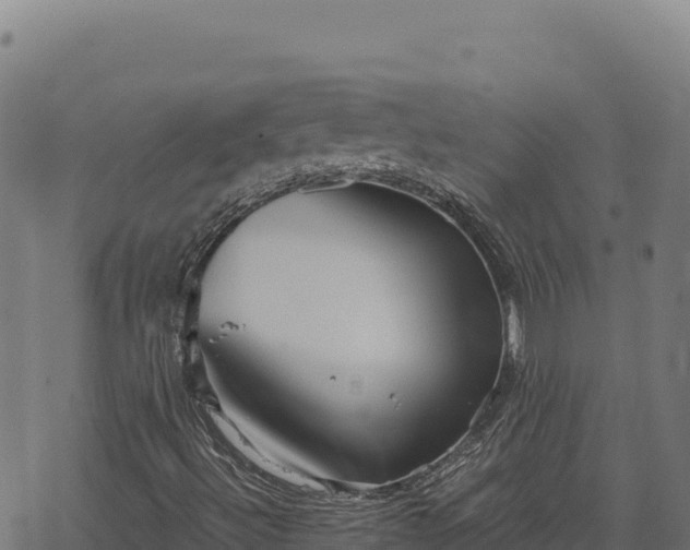 X0000068831492200605121328