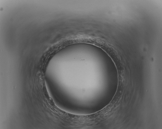 X0000068831493200605121328