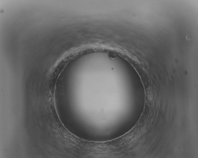 X0000068831495200605121328