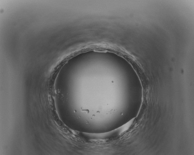 X0000068831496200605121328