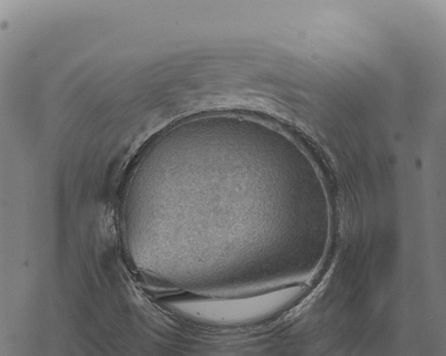 X0000068831497200605121328