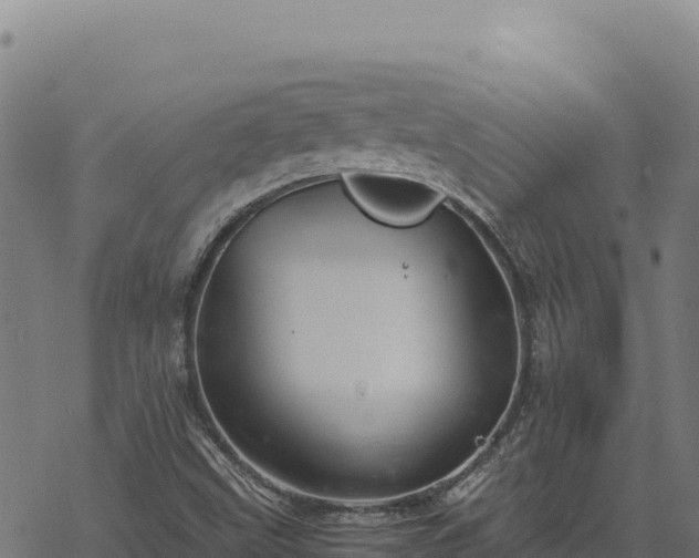 X0000068831499200605121328