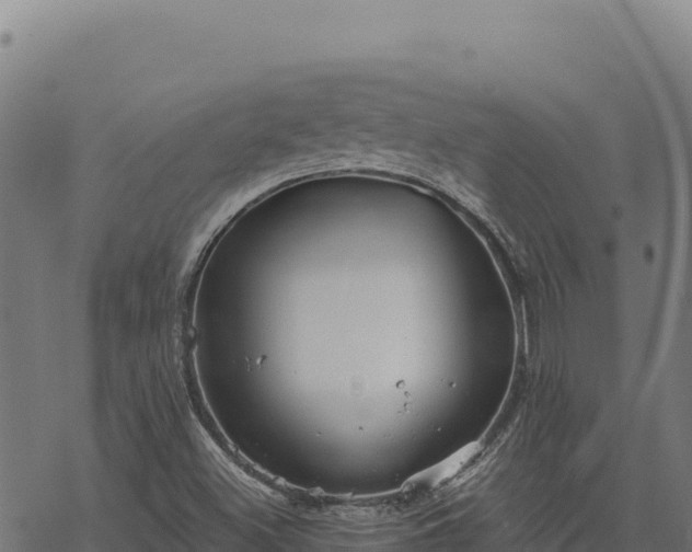 X0000068831500200605121328