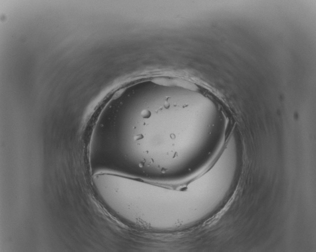 X0000068831502200605121328