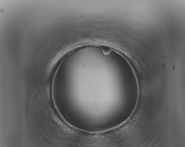 X0000068831503200605121328