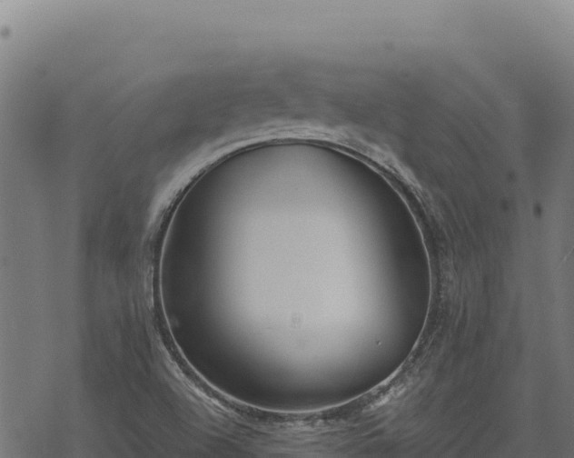 X0000068831504200605121328