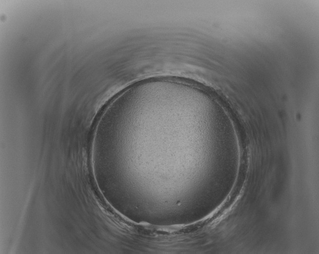 X0000068831505200605121328