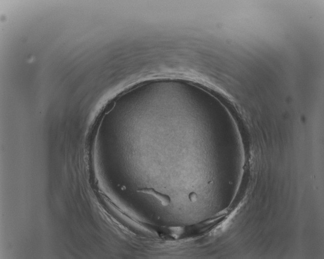 X0000068831506200605121328