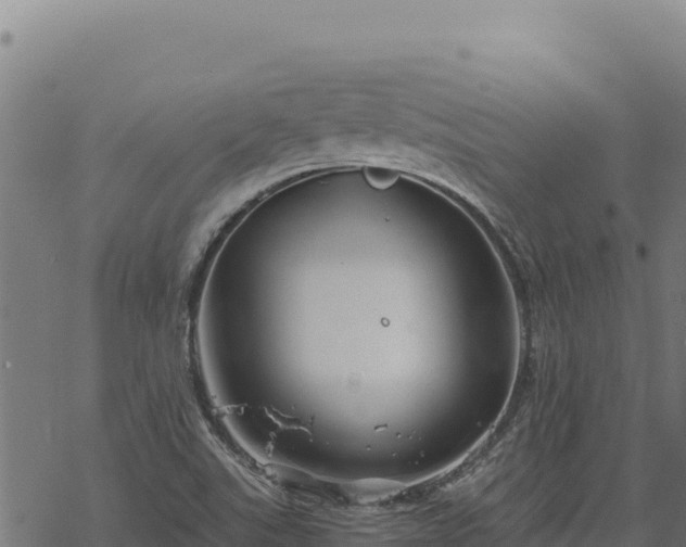 X0000068831507200605121328