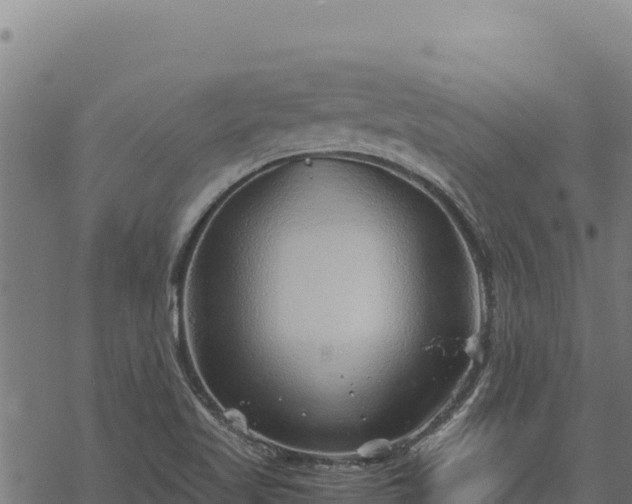 X0000068831509200605121328