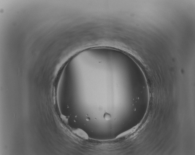 X0000068831510200605121328