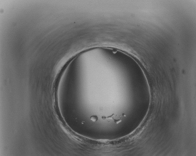 X0000068831511200605121328