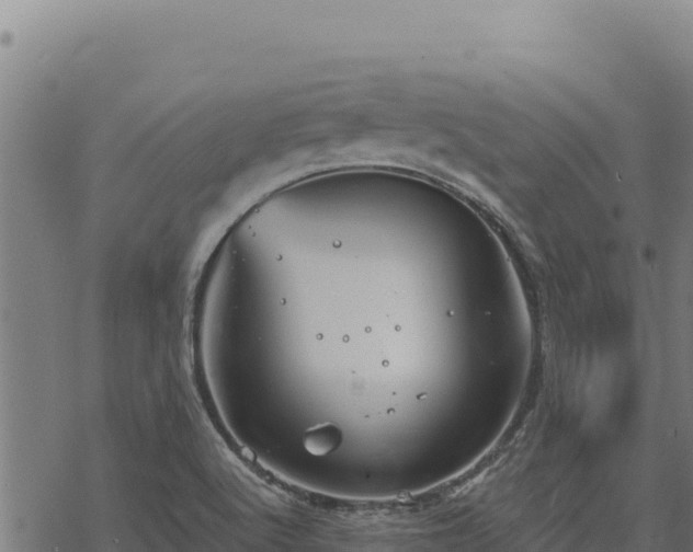 X0000068831512200605121328