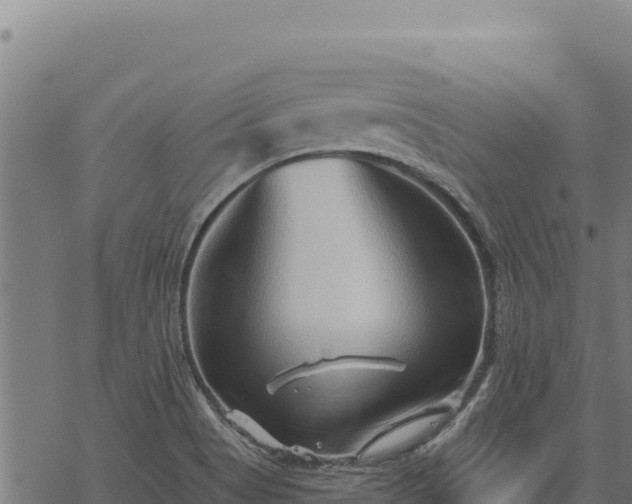 X0000068831513200605121328