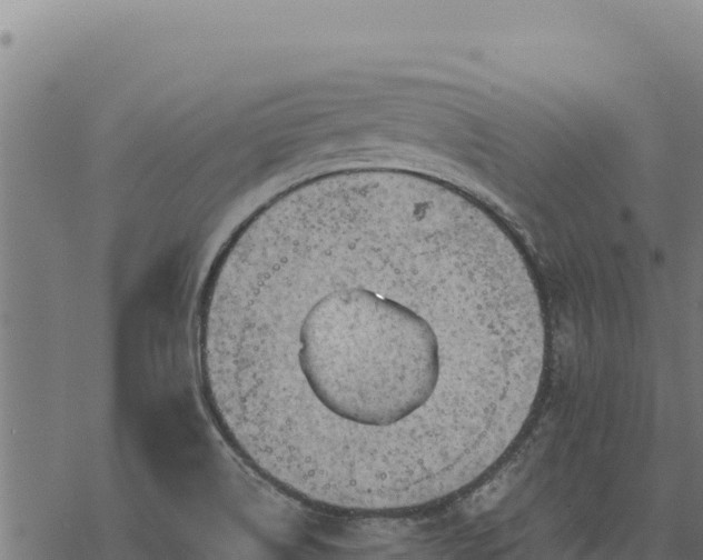 X0000068831514200605121328