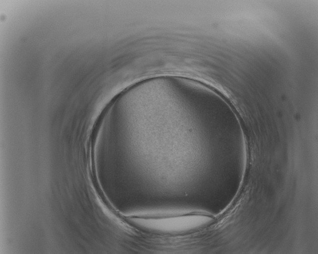 X0000068831515200605121328