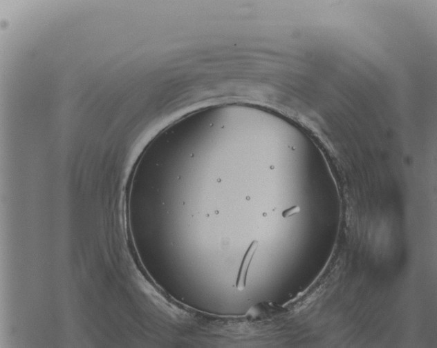 X0000068831516200605121328