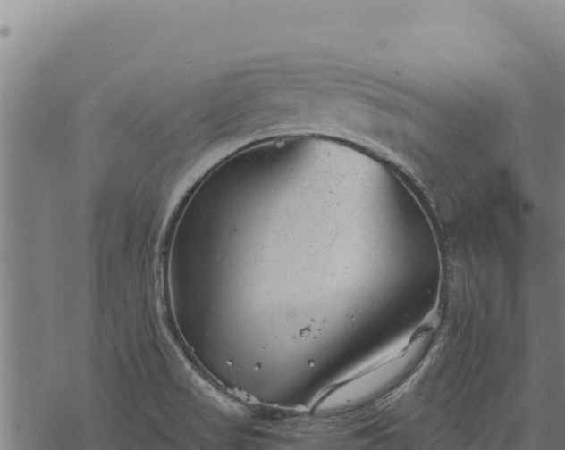 X0000068831517200605121328