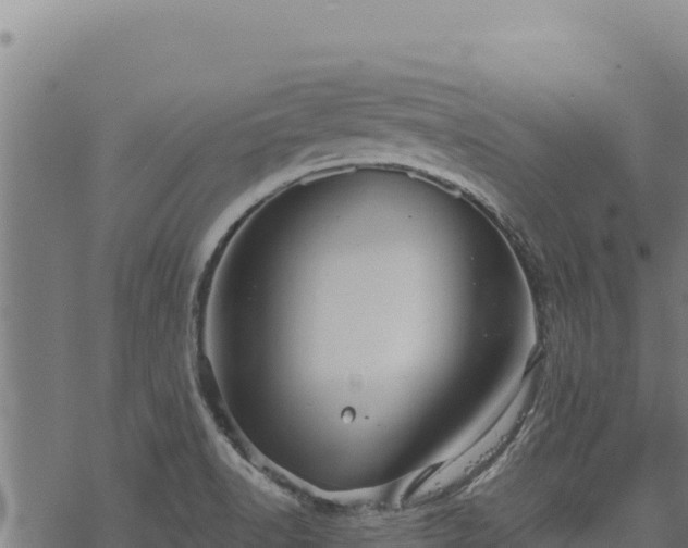 X0000068831518200605121328