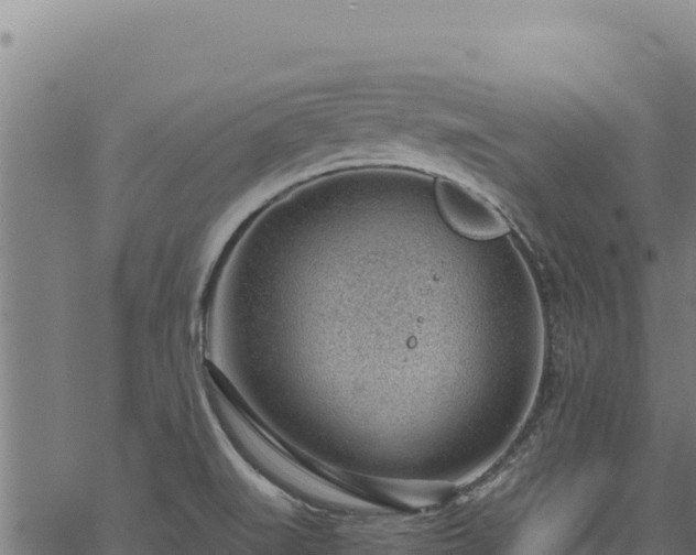 X0000068831519200605121328