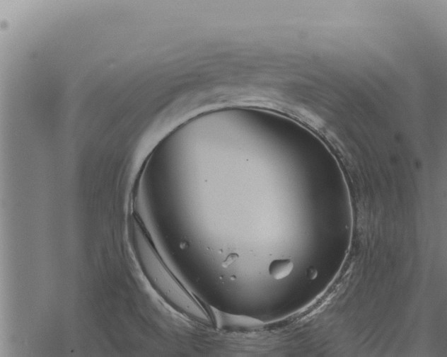 X0000068831520200605121328