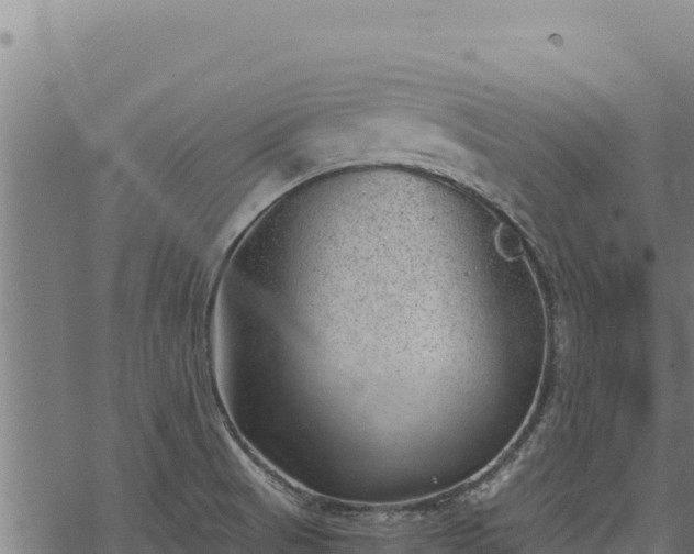 X0000068831521200605121328