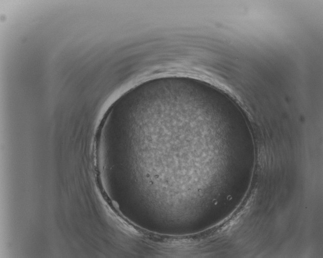 X0000068831522200605121328